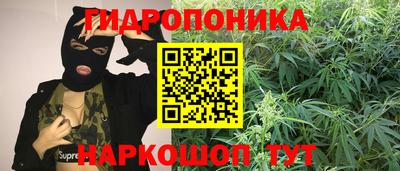 крисы Ипатово