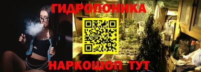 крисы Ипатово