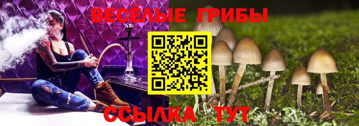 Псилоцибиновые грибы Psilocybine cubensis  Вход с VPN  Лянтор  Псилоцибиновые грибы Psilocybe 